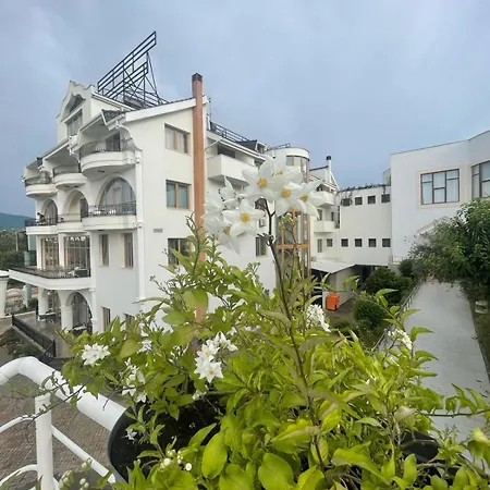 Misk & 5* Tirana