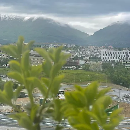 Misk & Tirana
